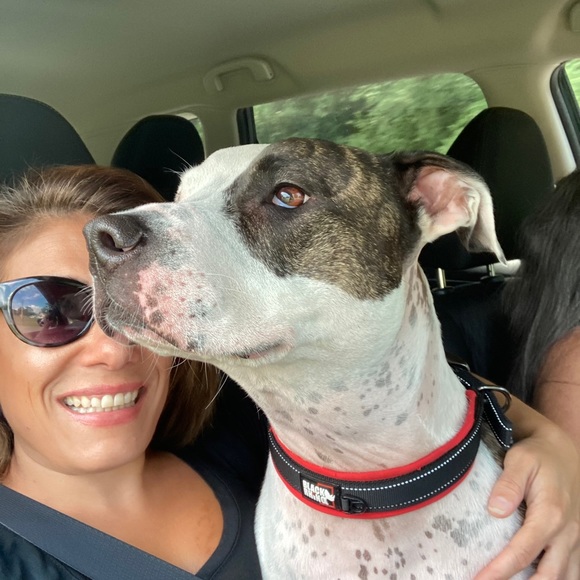 Meet your Posher, Dani - Picture 5 of 7